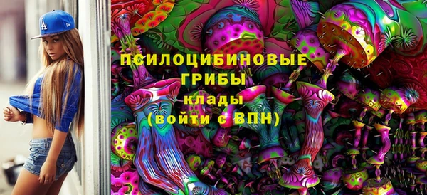 твердый Чердынь