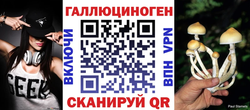 Псилоцибиновые грибы Cubensis  купить закладку  Славск 