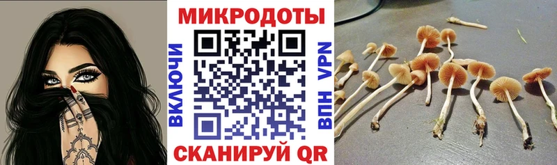 Галлюциногенные грибы мицелий Славск